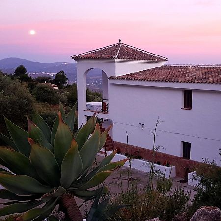 Casa Arts Guest Rooms Alcaucin Exterior photo